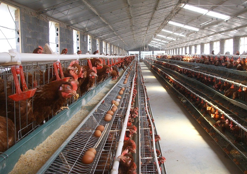 66b900046fa8dfa0365c 66b900046fa8dfa0365c