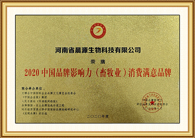 品牌影響力消費(fèi)者滿意品牌 拷貝