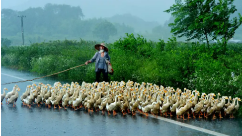 7ab134101f64633bda84b1d46598397 7ab134101f64633bda84b1d46598397