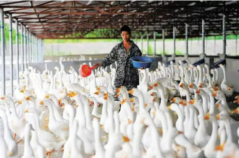 0481e1059d2fbfde7a82ca7238a1820 0481e1059d2fbfde7a82ca7238a1820