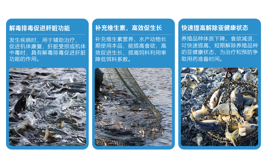 水產(chǎn)飼料添加劑漁美安產(chǎn)品功效