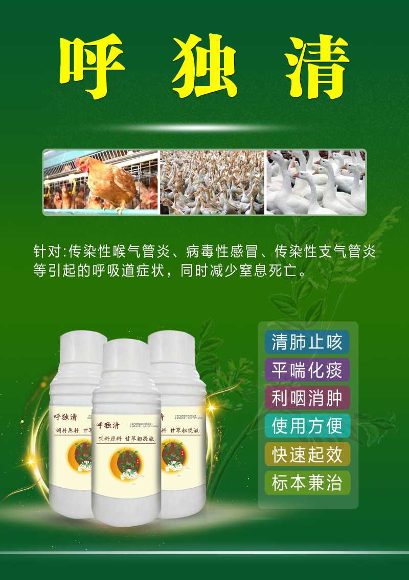 鴨黑肺病預(yù)防