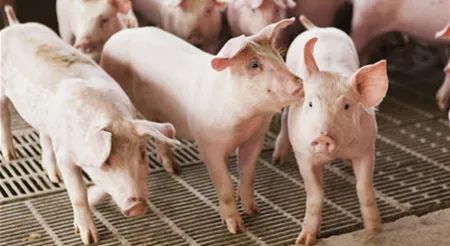 微信圖片_20210709103151