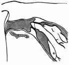 微信圖片_20210709095759