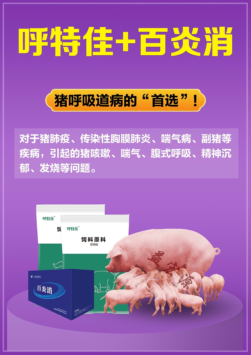 豬呼吸道疾病治療方案