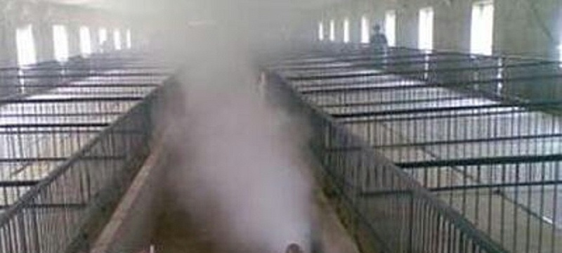 豬場(chǎng)生物安全管理之消毒