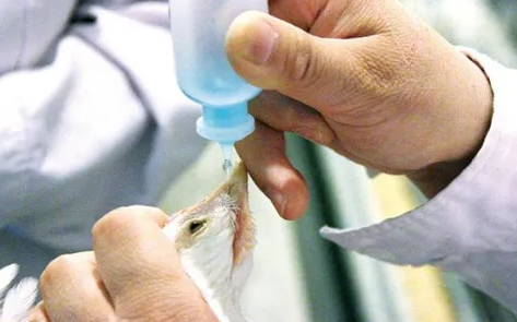 98127aba1d76aad974f35aec8528381 98127aba1d76aad974f35aec8528381