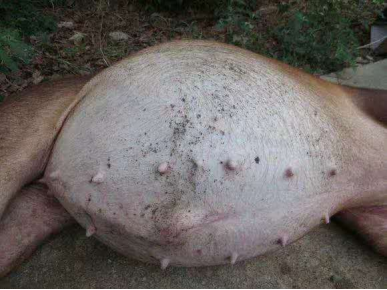 微信圖片_20210707141657