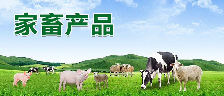 家畜產品