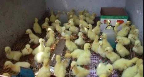 微信圖片_20210526174228