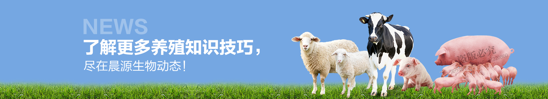 了解更多養殖知識技巧 盡在晨源生物動態