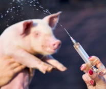 微信截圖_20220331113104