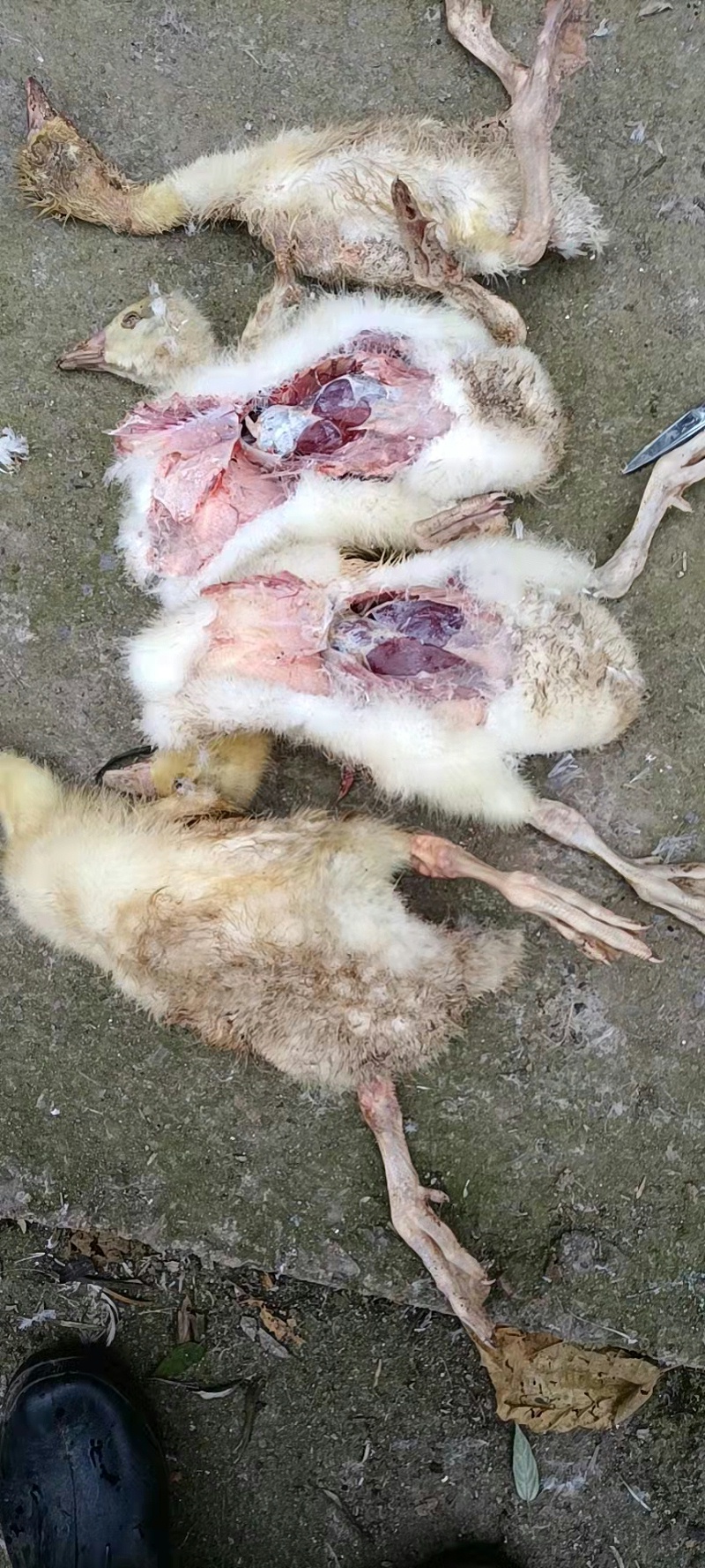 9bd2f39ceebf49f3b05e0e2e9361b08 9bd2f39ceebf49f3b05e0e2e9361b08