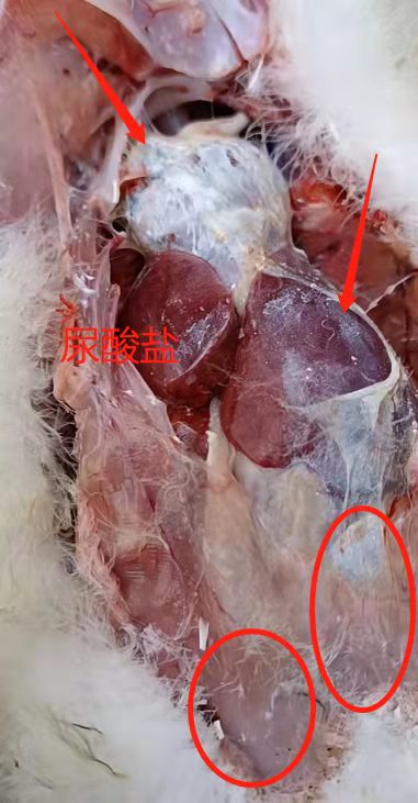 41a1657eeb6b5bca977c55a1f506ff9 41a1657eeb6b5bca977c55a1f506ff9