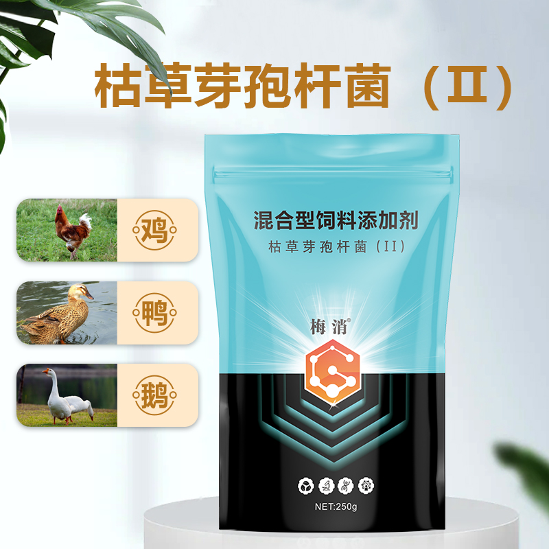 防霉脫霉類-梅消