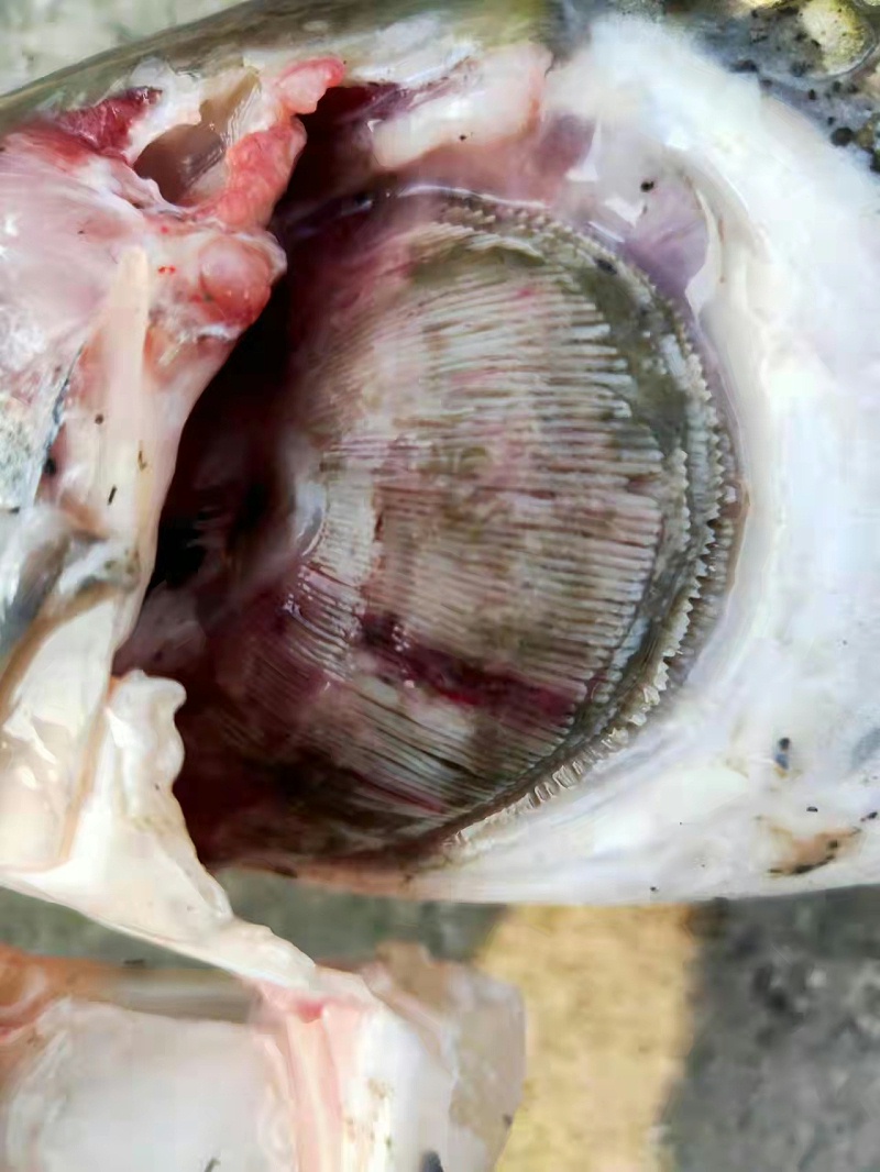 f0c59dc361b9555223750fa757df24f f0c59dc361b9555223750fa757df24f