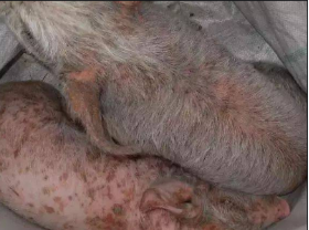 微信圖片_20210605174522