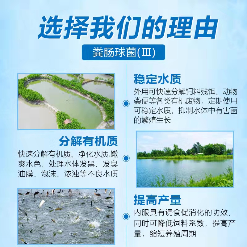 補菌活水-乳動力 補菌活水-乳動力