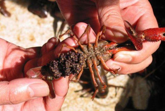 d058ccbf6c81800ad268b22b5f20d7ff828b4725 d058ccbf6c81800ad268b22b5f20d7ff828b4725