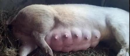 微信圖片_20210530152252