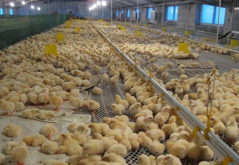 微信圖片_20210530150611