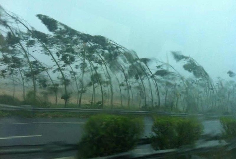 9月新臺風形成，養殖戶要做好防御工作1