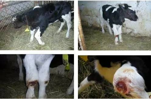 微信圖片_20210529183706