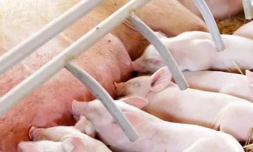 微信圖片_20210529184115