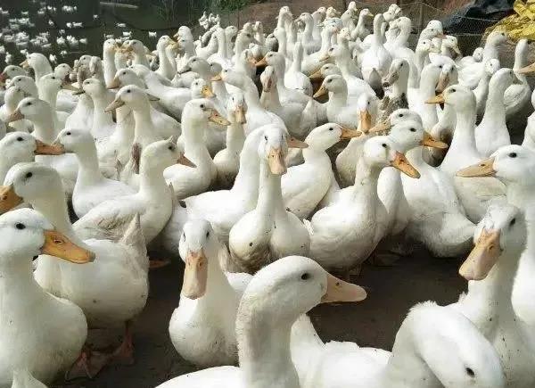 微信圖片_20210507151124