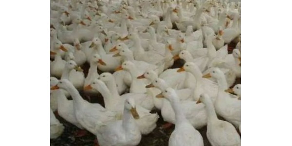 微信圖片_20210707091845