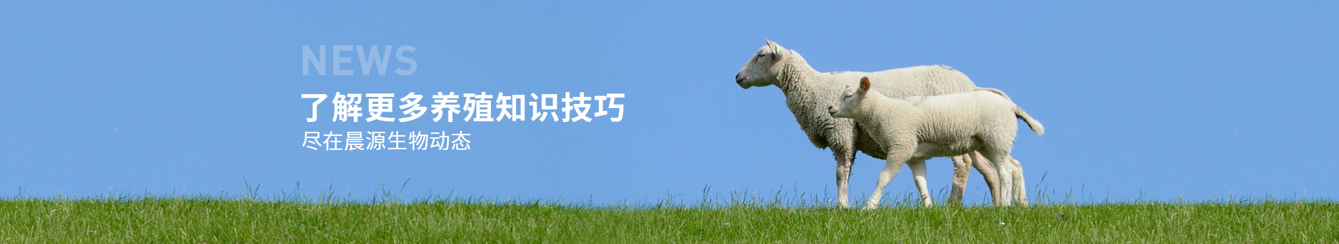 了解更多養(yǎng)殖知識(shí)技巧 盡在晨源生物動(dòng)態(tài)