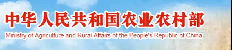 農(nóng)業(yè)農(nóng)村部：春節(jié)生豬上市將增加！
