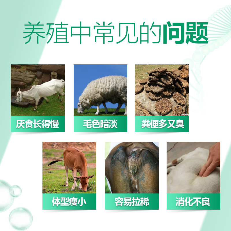 開胃促消化-牛羊胃動力 開胃促消化-牛羊胃動力