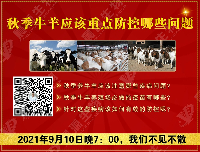秋季牛羊應(yīng)該重點(diǎn)防控哪些問(wèn)題