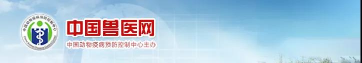 中國動物疫病預(yù)防控制中心關(guān)于印發(fā)《非洲豬瘟防控技術(shù)指南》的通知