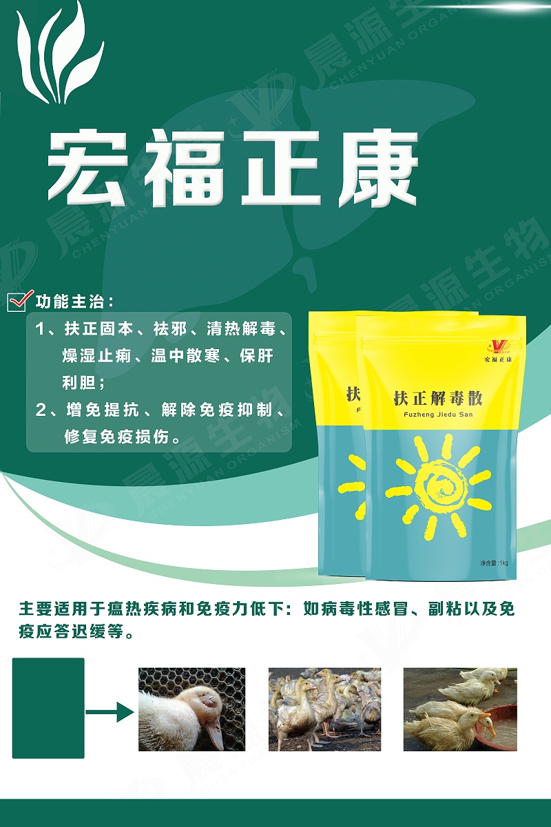 宏福正康(1) 宏福正康(1)