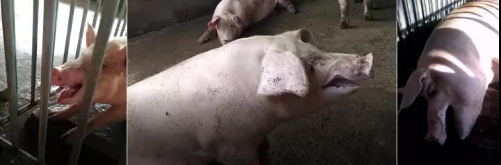 微信圖片_20210528100148