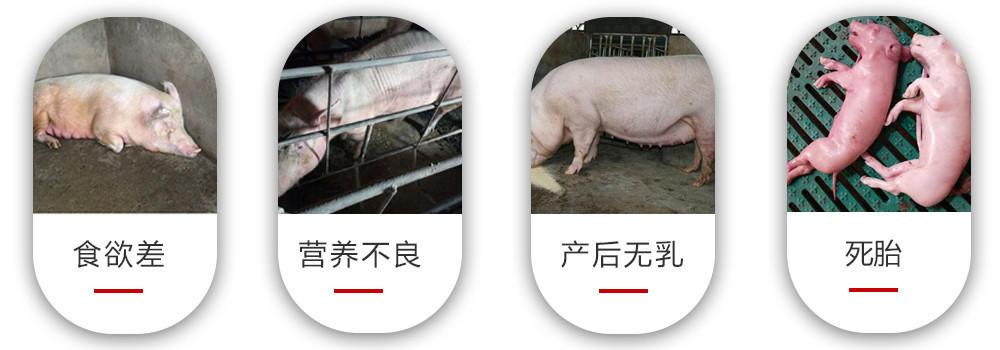 常見(jiàn)的養(yǎng)殖問(wèn)題